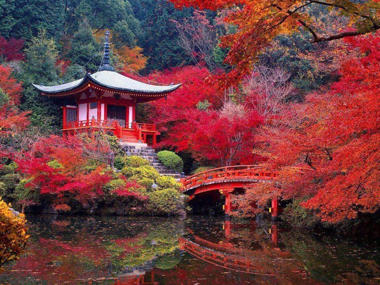 12 Craziest Things in Nature